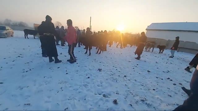 Молбозор Искра Промой Эфир СОВУК 1 МОТА БУНДАЙ БУЛМАГАН