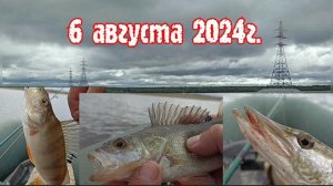 6 августа 2024г. Городская протока.