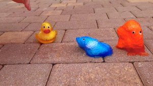 Настя устроила эксперимент с игрушками