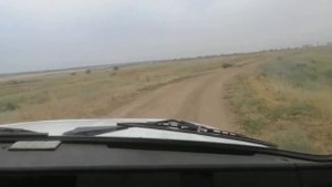 Уборка2020 в другом хозяйстве .акрос 595 и газ 3307