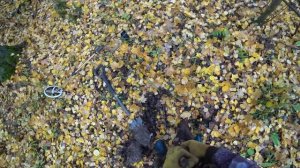 Удачный день. Отличный металлокоп на Вездеходе Полоз