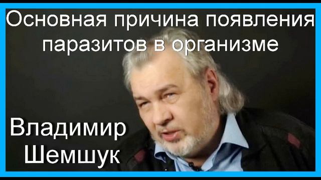 Основная причина появления паразитов в организме. Владимир Шемшук
