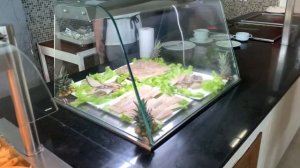 КУБА, обзор отеля GRAND MUTHU на острове Cayo Guillermo