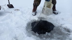 Быстрое снятие сетей вместе с рыбой