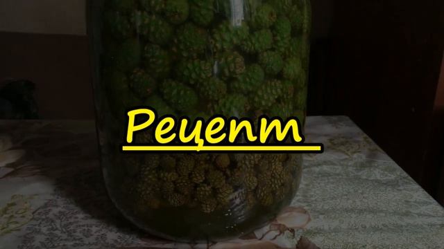Мед из зелёных сосновых шишек. Хвойная вытяжка. Польза. Делаем вместе. Рецепт. Очень просто!