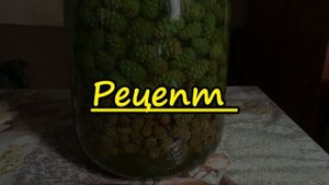 Мед из зелёных сосновых шишек. Хвойная вытяжка. Польза. Делаем вместе. Рецепт. Очень просто!