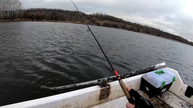 Эти Щуки не дают покоя! Просто сон какой-то! смотреть онлайн