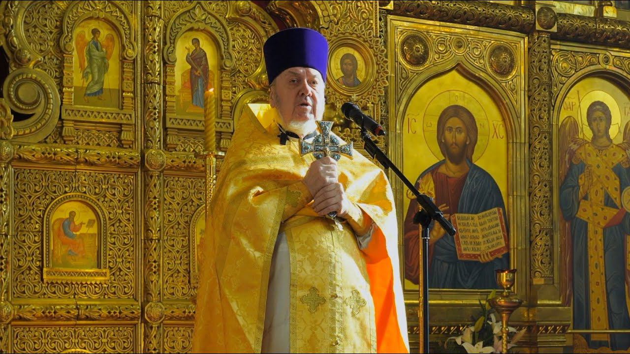 Проповедь в Неделю о блудном сыне | Протоиерей Александр Паничкин | 03.03.2024 г.