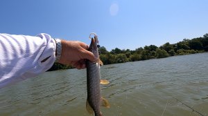 Рыбалка на Беляевских карьерах,25.06.23 года, воды очень много,вода в лесу,пляжа почти нет.