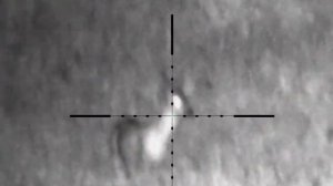 Pulsar Digex N455+IR UkroPNV Ultra 940nm. До какой дистанции различимы рога у самца косули?