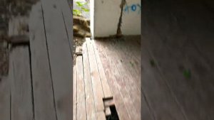 Заброшенный Коктебель, база отдыха, брошенная много лет назад, 2019 год, Крым. №8