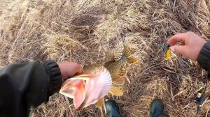 ЛОВЛЯ ЩУКИ НА СПИННИНГ В ДЕКАБРЕ НА СИЛИКОН