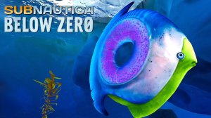 ОБЕЗЬЯНЬИ ЛАБИРИНТЫ ▶ SUBNAUTICA BELOW ZERO #2