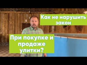 Как законно покупать и продавать улитку?