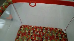 Детский манеж GEOBY. Обзор