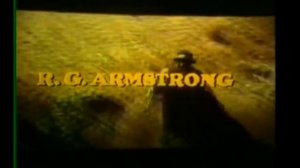 Boss Nigger Theme Uncensored