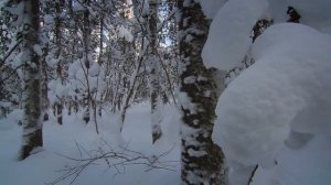 Великая река Амур часть 1