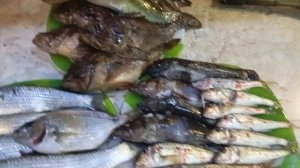 Анапа сегодня ночью подводная охота в чёрном море