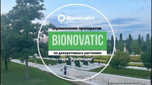 Применение препаратов Bionovatic на декоративных растениях