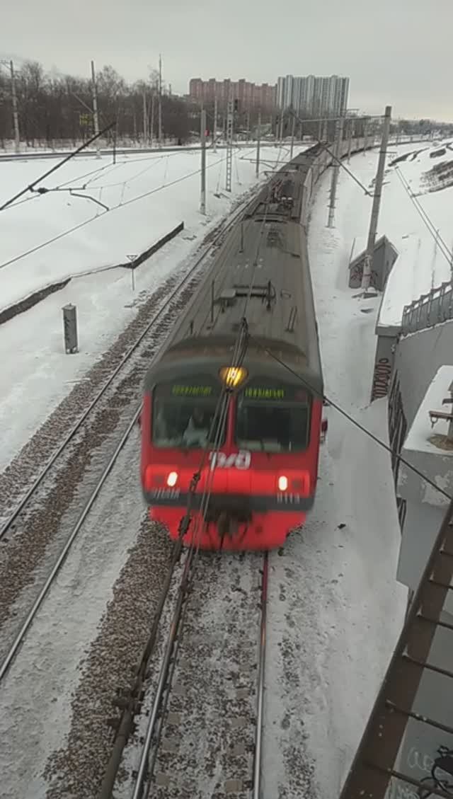 ЭД4М - 0133 СООБЩЕНИЕМ ИППОДРОМ - МОСКВА #shorts #ржд #железнаядорога #электричка #рекомендации