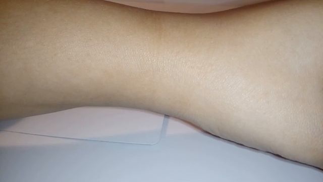 Приручение хомяка