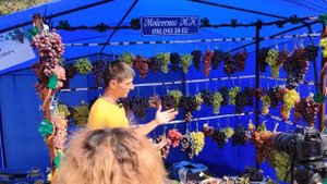 Выставка в институте В.Е Таирова! Виноградный калейдоскоп 2021