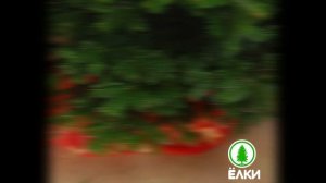 Декоративный коврик-чехол для украшения и утилизации елки