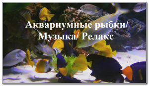 Аквариумные рыбки и  расслабляющая музыка для сна и отдыха
