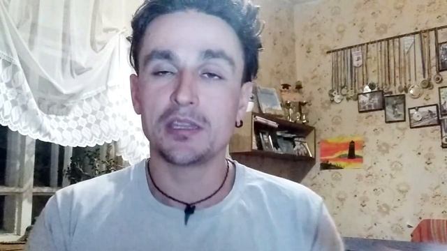 254. СОБАКА НЕ ПРИНОСИТ МЯЧ. БРОСАЕТ НА ПОЛ ПУТИ. Дрессировка шпица / разбор полетов смотреть онлайн