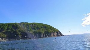бухта Гертнера, 13.06.2024