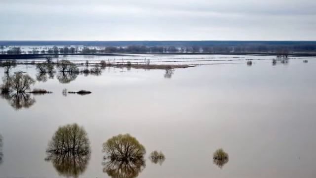 Разлив.Луховицы.2013 смотреть онлайн