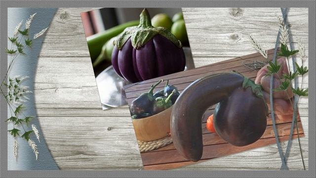 СИНЕНЬКИЙ – ЗОВУТ ЮЖАНЕ ПЛОД С НАЗВАНЬЕМ БАКЛАЖАН (Eggplant)