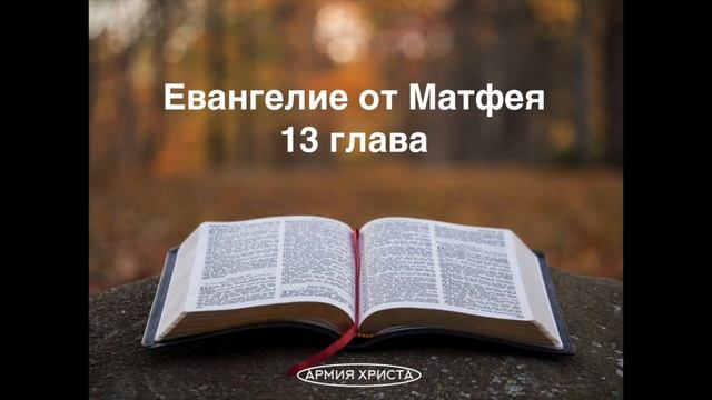 Матфея 13 глава. Притча о сеятеле |Притча о пшенице и плевелах |Не бывает пророк без чести