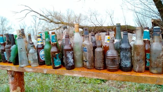 ПВД ГОРОЖАНКА НОВОЖИВОТИННОЕ смотреть онлайн