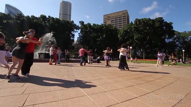 Sydney Tango Flashmob - January 2016 смотреть онлайн