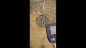 WHITES SPECTRA V3i катушка SD14