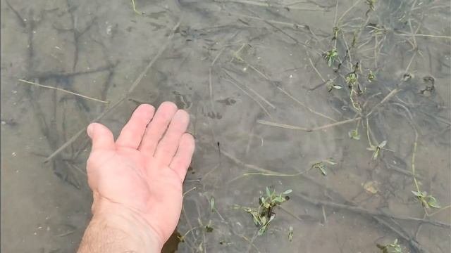 Симферопольское водохранилище 15 08 2021