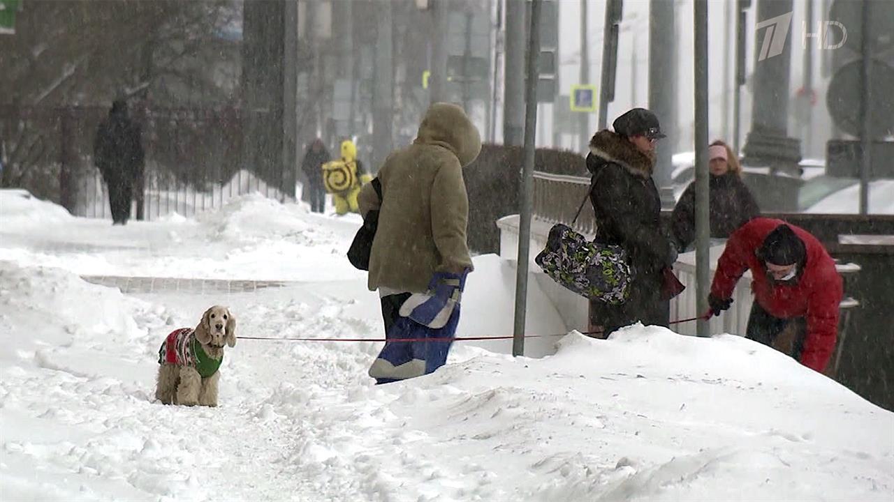 Вырос на московской. Москву замело сегодня. В Москву заметает снегом 1 канал новости. Марковский клип снег.