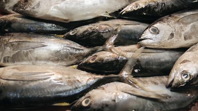 Не имей сто друзей, а имей трех волков - как мужчина защищался от медведя смотреть онлайн