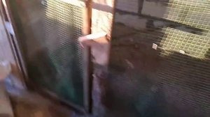 Завершили Курятник из пеноблоков！