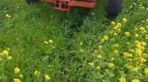 Запашка сидератов на удобрение ч. 1я