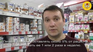 Как часто давать собаке печень и в каком количестве