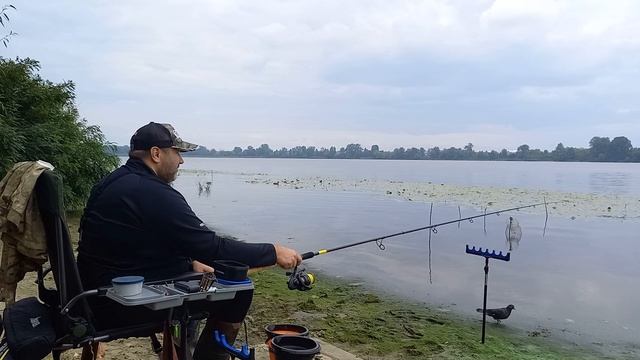 ФИДЕР КАРАСЬ на БИСКВИТ осень смотреть онлайн