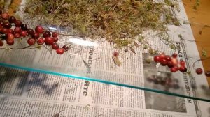 как качественно очистить клюкву