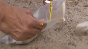 Близкие контакты | С точки зрения науки | 2005