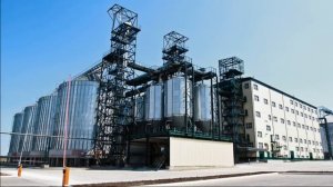 Крупный маслоэкстракционный завод построят в Алтайском крае для экспорта подсолнечника в Китай