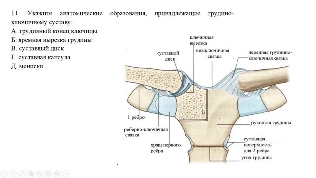 Биология 8 класс Видеоразбор Контрольная работа 3 смотреть онлайн