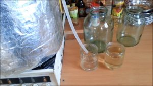 гоню брагу на изюме