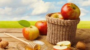 Стихи о Родине. С.Есенин   Гой, ты, Русь, моя родная