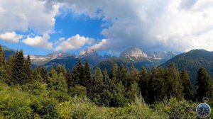 Пение птиц убирает головную боль и настраивает на позитивный лад/Sounds of nature/Relax/